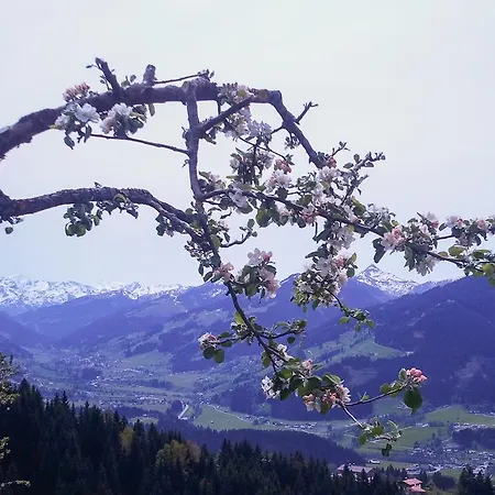 Hof Hamoos Kitzbuhel