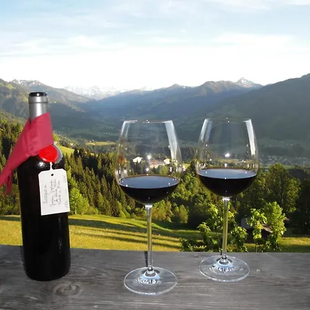 Hof Hamoos Apartmán Kitzbühel