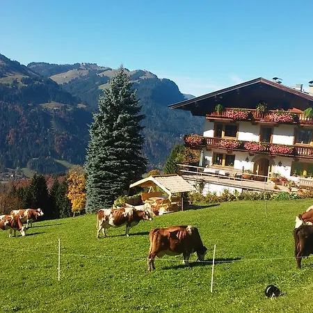 Hof Hamoos Apartment Kitzbuhel