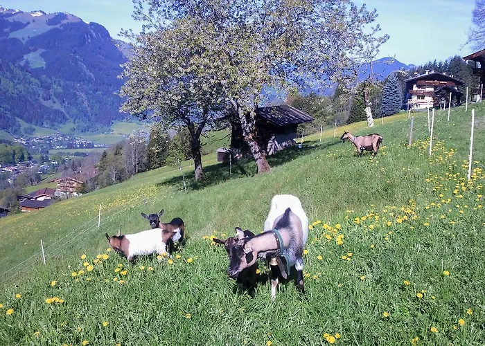 Hof Hamoos * קיצביהל