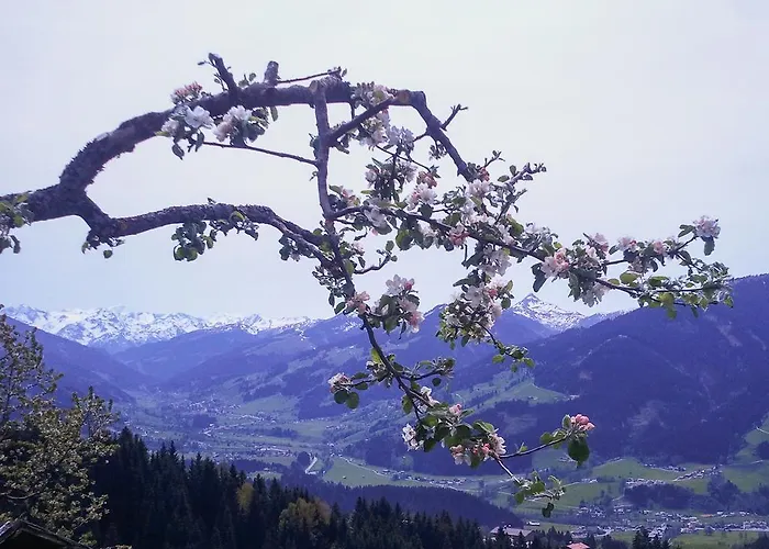 Hof Hamoos Kitzbühel