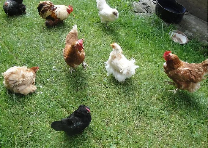 Hof Hamoos Apartamento *