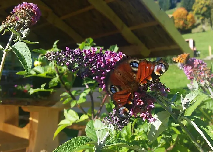 דירה Hof Hamoos *