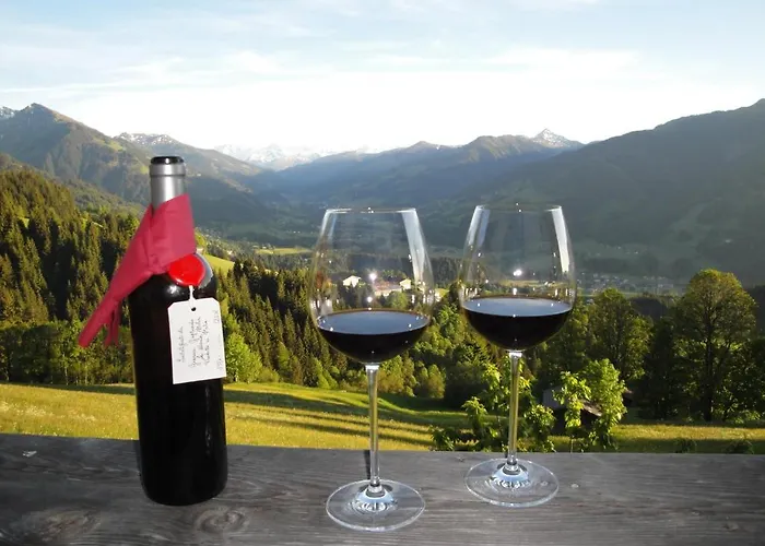 Hof Hamoos Appartement Kitzbühel